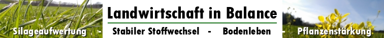Landwirtschaft in BalanceII