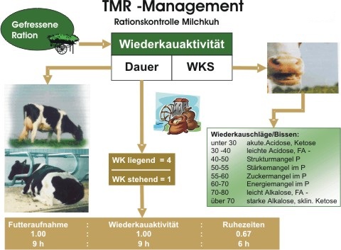 rationskontrollemilchkuhversion1