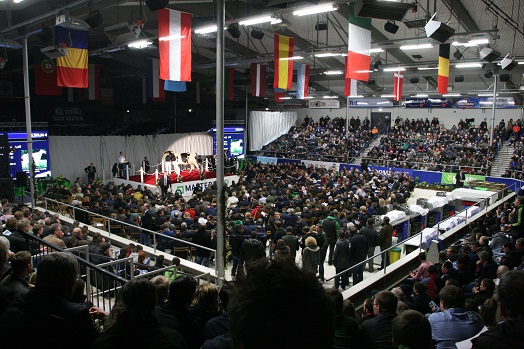 Halle voll 2