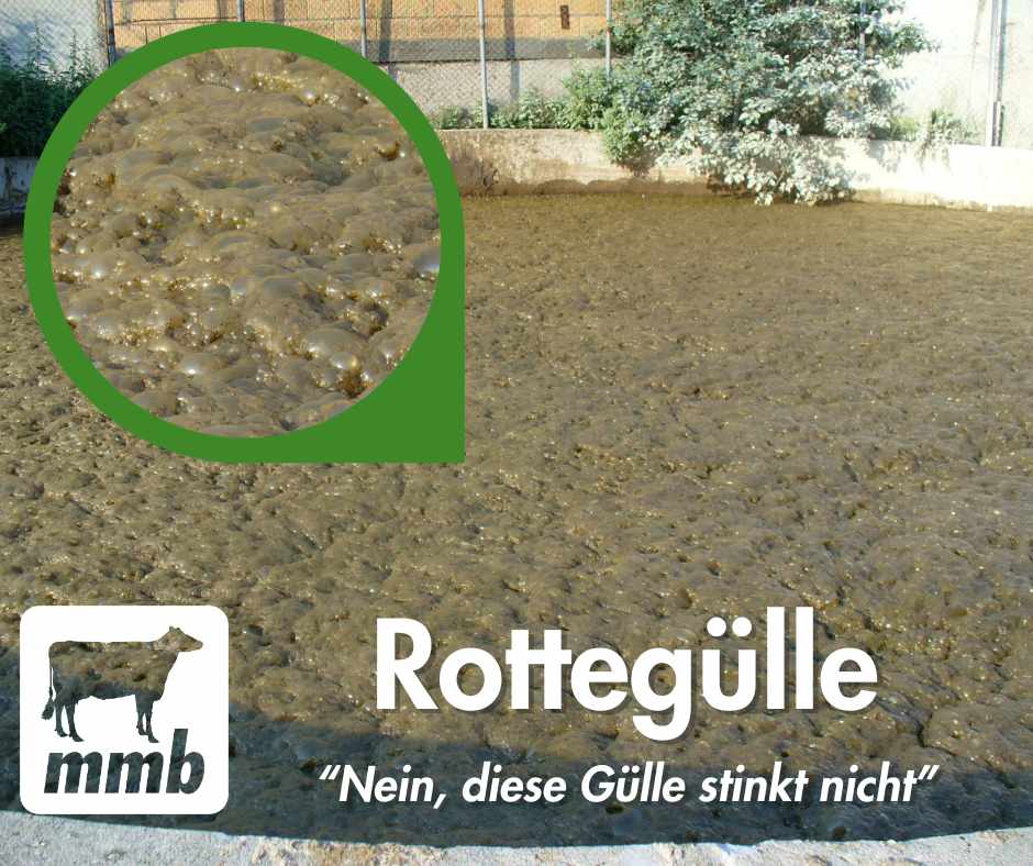 dnger fr rasen gegen unkraut Neudorff Rasendnger Moos- & UnkrautStopp  Rasen nachhaltig dngen   Neudorff Shop